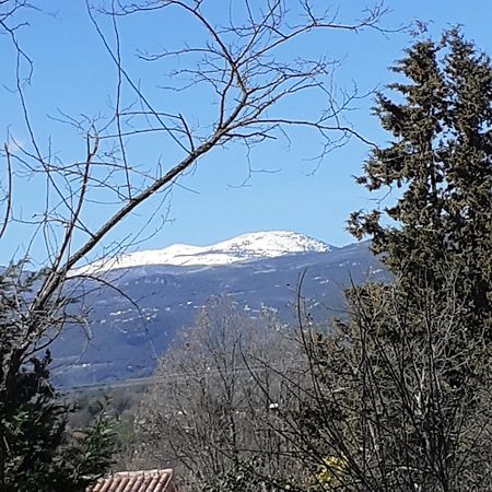 Laserregnol Saint-Cezaire-sur-Siagne Luaran gambar
